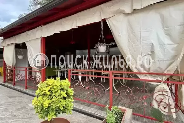 «Шафран», Адлер «Шафран», Адлер