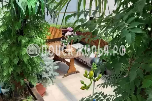 «Оазис», Анапа