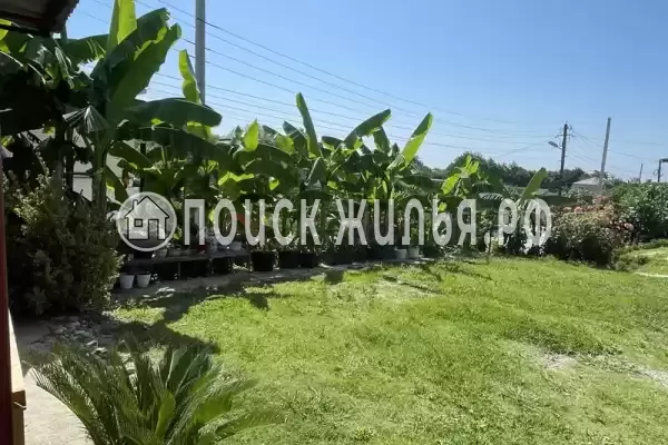 Гостевой дом «Мотя», Новый Афон Гостевой дом «Мотя», Новый Афон