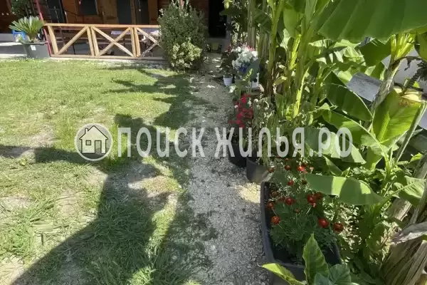 Гостевой дом «Мотя», Новый Афон Гостевой дом «Мотя», Новый Афон