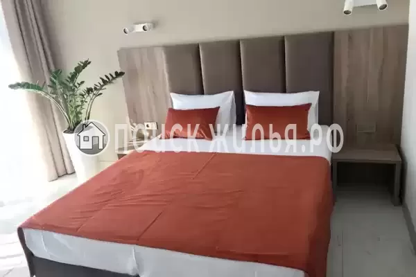 «Лайм», Агой «Лайм», Агой