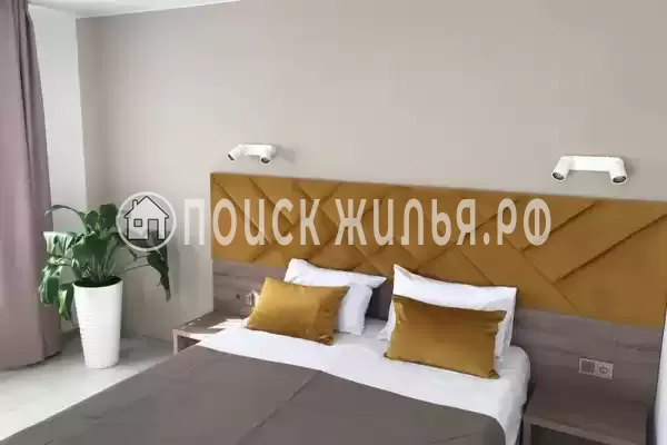 «Лайм», Агой «Лайм», Агой