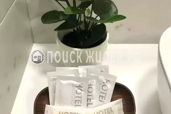 «Лайм», Агой «Лайм», Агой