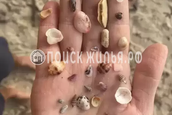 «Изабелла», Архипо-Осиповка «Изабелла», Архипо-Осиповка