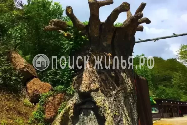 «Эва и Лео», Лоо