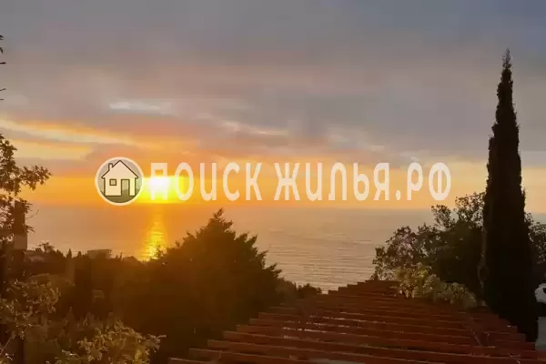 «Forest», Алупка