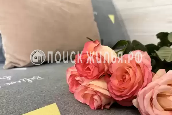 «Талисман Джемете», Джемете