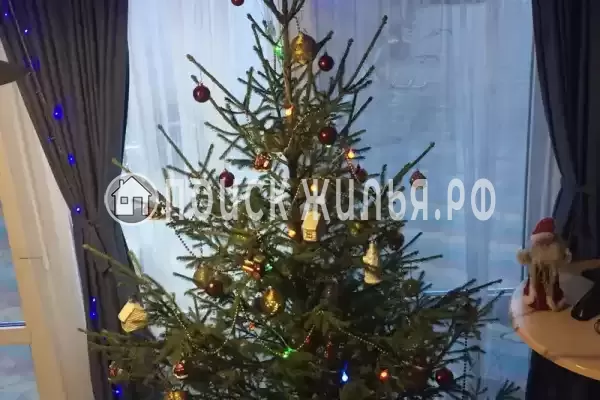 «Наутилус», Ольгинка