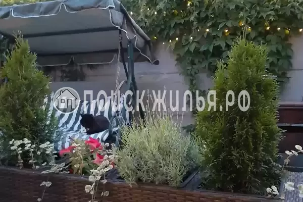 «Листья Травы», Балтийск