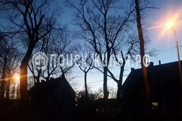 «Листья Травы», Балтийск