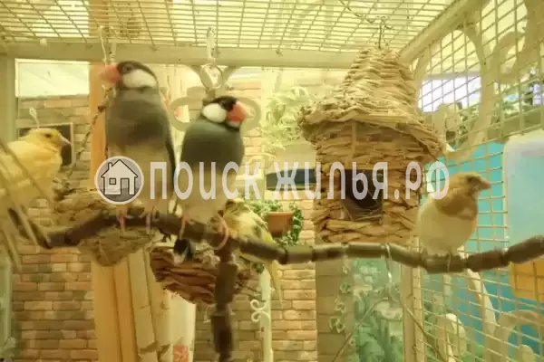 Частный сектор «Комплекс апартаментов Анита - Сочи», Сочи