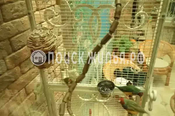 Частный сектор «Комплекс апартаментов Анита - Сочи», Сочи