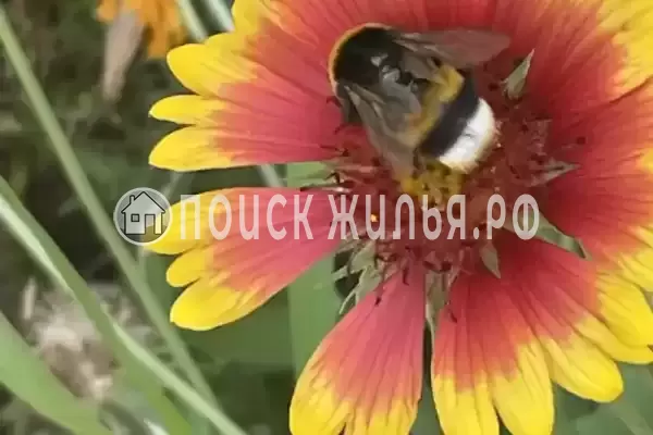 «Альталушта», Алушта «Альталушта», Алушта