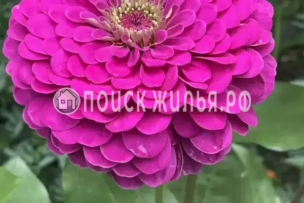 «Альталушта», Алушта «Альталушта», Алушта