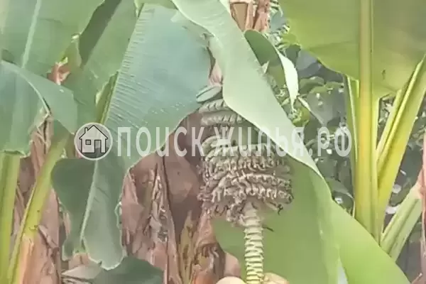 Гостевой дом «У Татьяны», Цандрипш