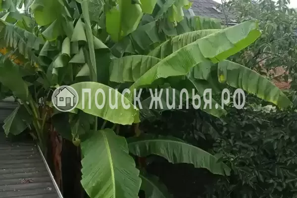 Гостевой дом «У Татьяны», Цандрипш