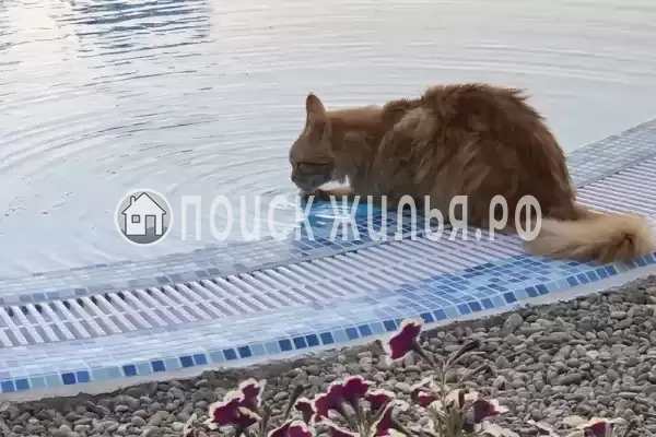 «Краски Черного моря», Архипо-Осиповка