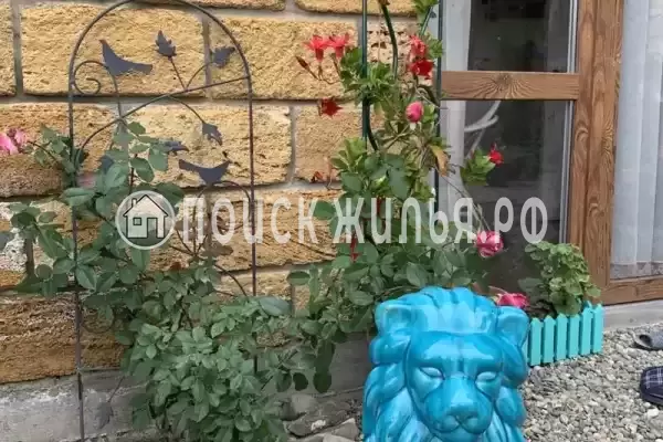 «Краски Черного моря», Архипо-Осиповка