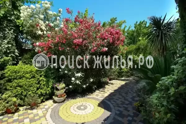 «Милана», Адлер