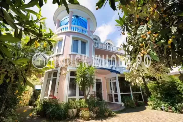 «Милана», Адлер