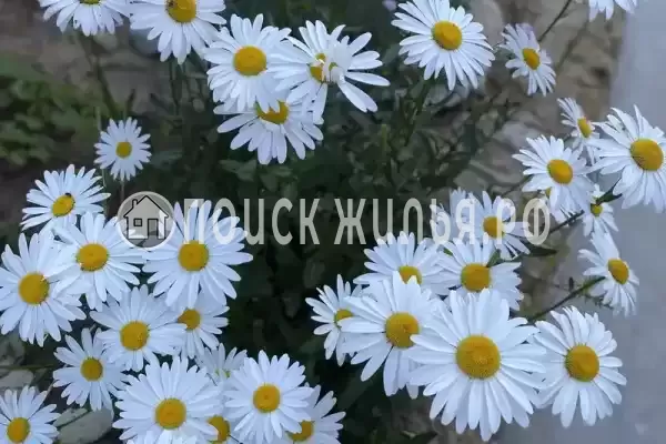 «Нептун 2», Евпатория