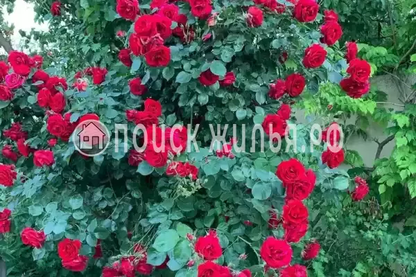 «Нептун 2», Евпатория