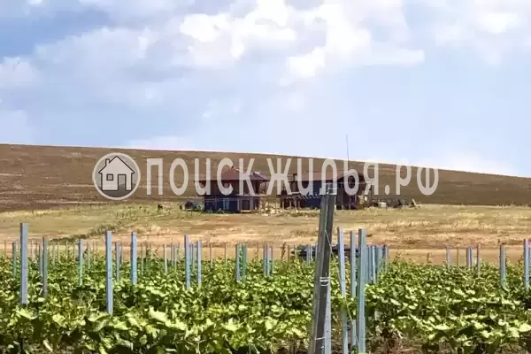 «Фридом», Веселовка