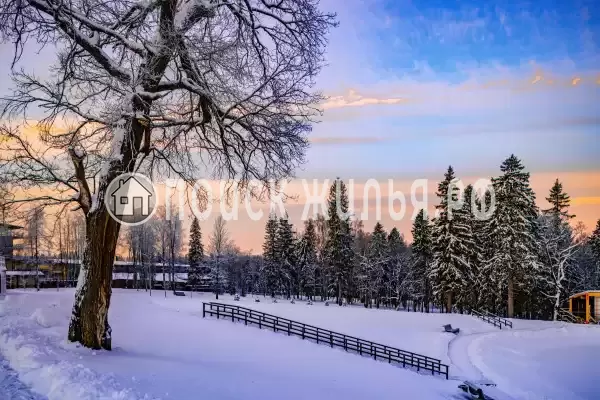 «Пересвет», Пересвет