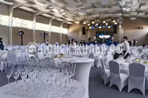 «Пересвет», Пересвет