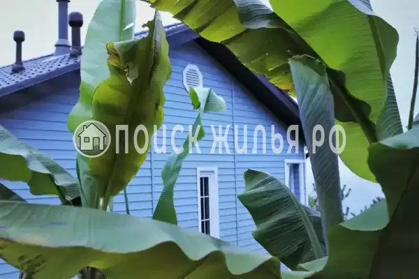 Частный сектор «Коттедж Зеленый банан», Головинка Частный сектор «Коттедж Зеленый банан», Головинка