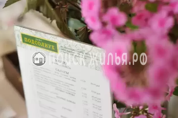 Отель «Подсолнухи», Пирочи Отель «Подсолнухи», Пирочи