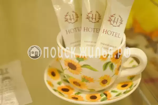 Отель «Подсолнухи», Пирочи Отель «Подсолнухи», Пирочи