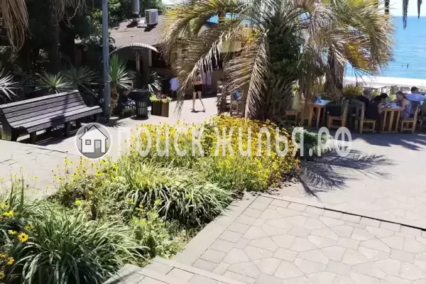 Частный сектор «Ухоженная двушечка в центре курортной зоны г. Сочи», Сочи Частный сектор «Ухоженная двушечка в центре курортной зоны г. Сочи», Сочи