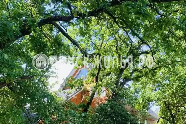 Отель «Риверсайд», Рюмино-Красноярский Отель «Риверсайд», Рюмино-Красноярский