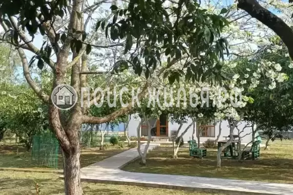 Частный сектор «Мандарин», Пицунда