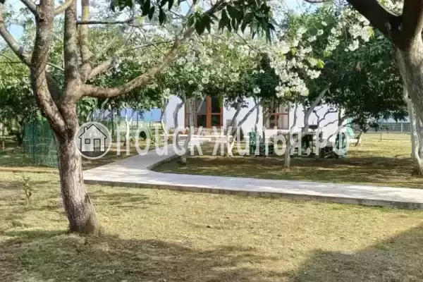 Частный сектор «Мандарин», Пицунда