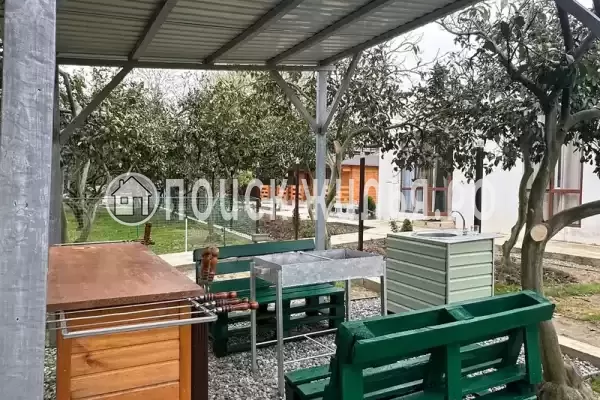 Частный сектор «Мандарин», Пицунда