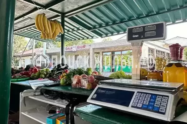 Частный сектор «Мандарин», Пицунда