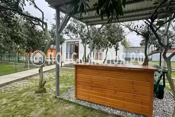 Частный сектор «Мандарин», Пицунда