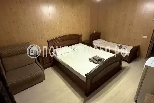 «Аэлита», Адлер