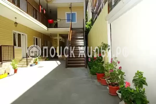 «Аэлита», Адлер