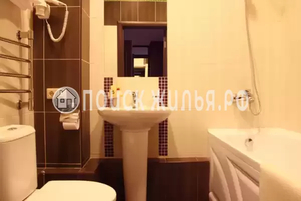 «Аврора Щекино», Щекино