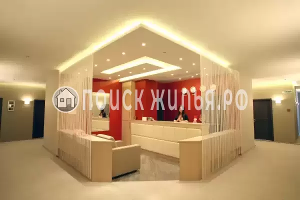 «Аврора Щекино», Щекино