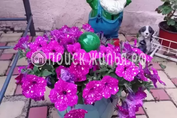 Частный сектор «Александр», Витязево