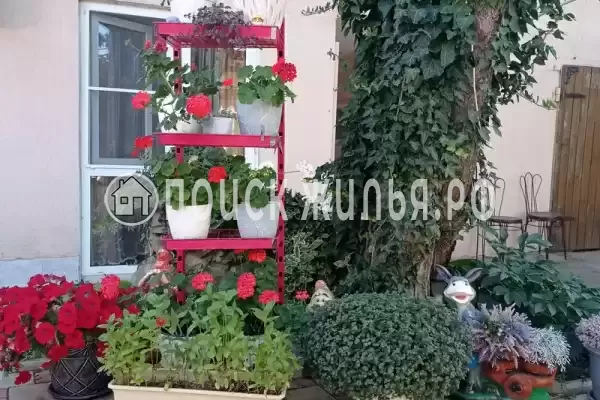 Частный сектор «Александр», Витязево