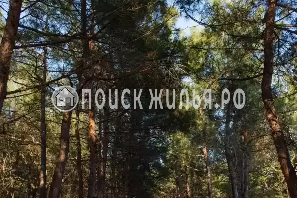 Частный сектор «Комната в коттедже Надежда у моря», Геленджик