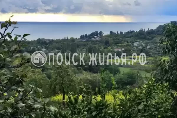 Гостевой дом «У Ашота и Джульетты», Гудаута