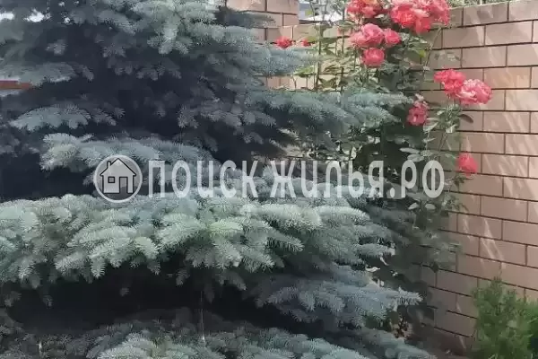 «Италмаз», Джемете