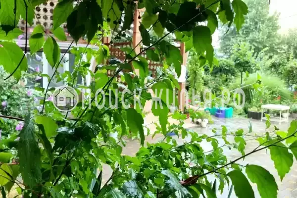 «Флагман», Витязево