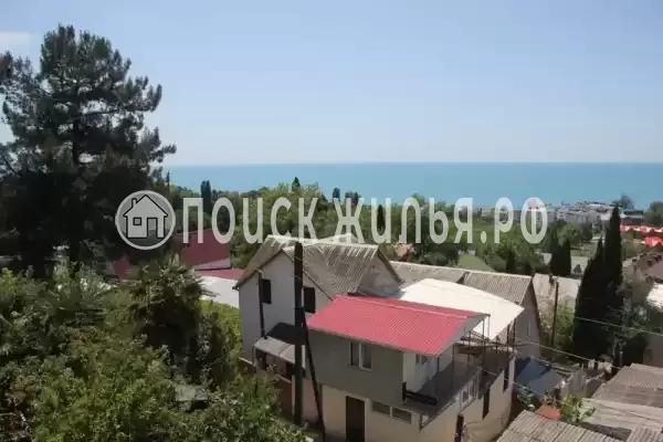 «Лавр», Лазаревское «Лавр», Лазаревское